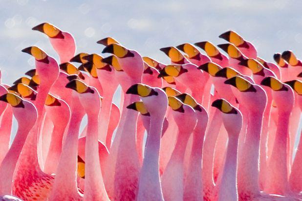 12 Elements of a Culture that Fosters Creativity