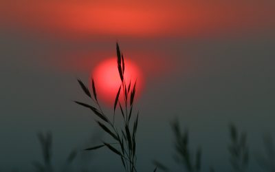 Acting: The Silent Moments