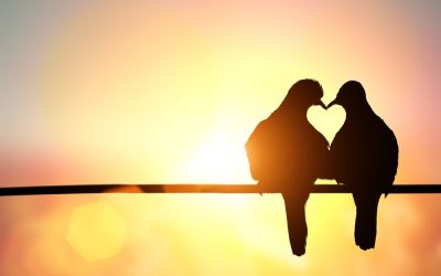 Actors: Look for the Love