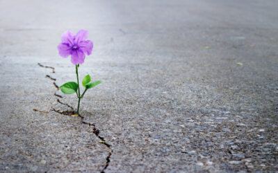 A Large Dose of Hope